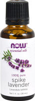 NOW Spike Lavender Oil